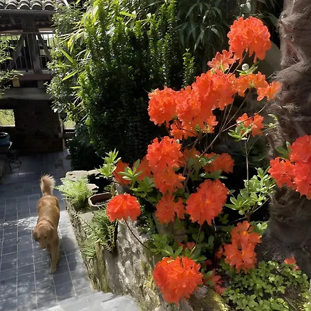 D'hotes Du Pentadou 3* Felzins