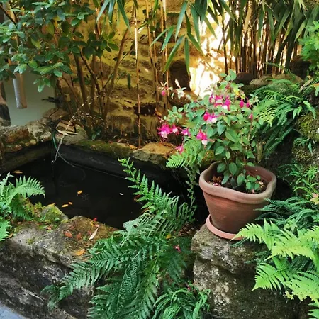 Bed & Breakfast D'hotes Du Pentadou 3*