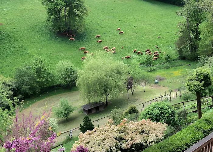 D'hotes Du Pentadou Bed & Breakfast