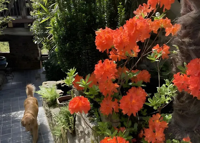 D'hotes Du Pentadou 3* Felzins